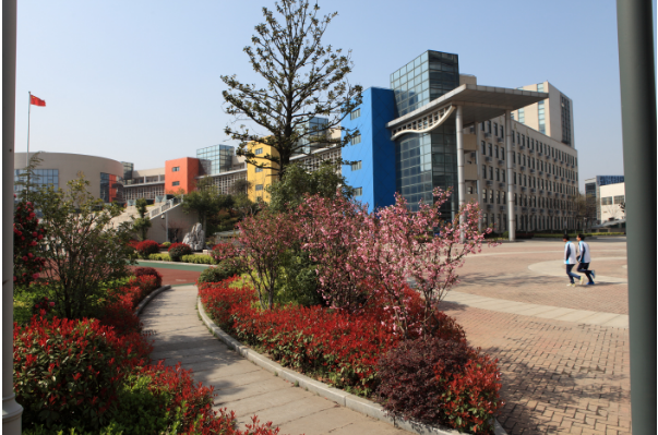 新沂市职业技术教育中心，2019年徐洲中职
