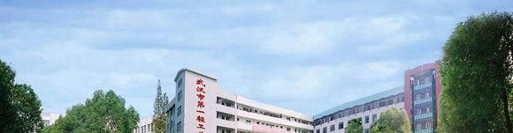湖北技工中职学校、中专