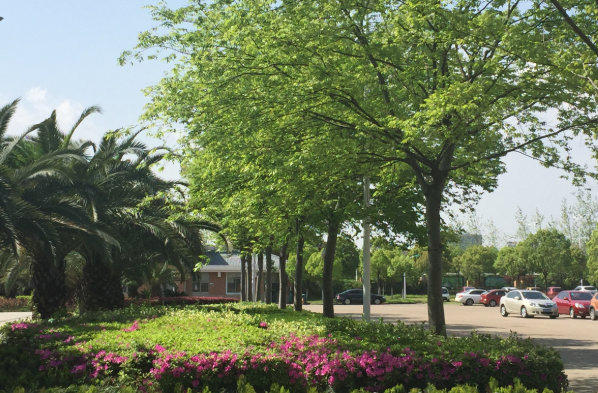 衢州中等专业学校