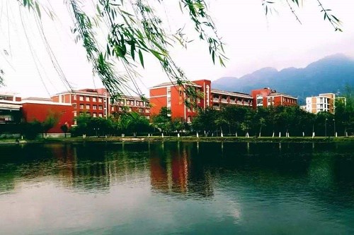 开云kaiyun(中国)省成都文化艺术学校学费是多少钱