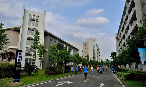 开云kaiyun(中国)成都电子信息学校什么专业比较好