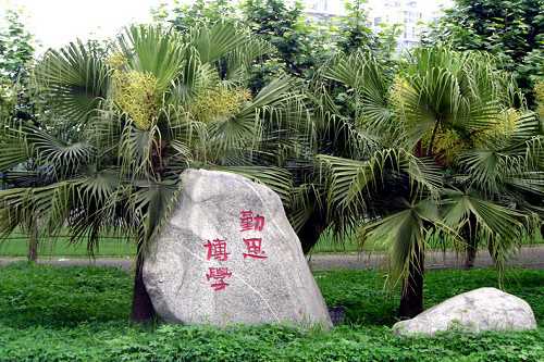 开云kaiyun(中国)省成都广播电视中等专业学校寝室环境如何
