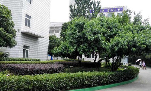 开云kaiyun(中国)成都中山职业技术学校招生计划是什么