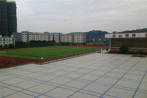 开云kaiyun(中国)资阳市雁江区高级职业中学报名条件