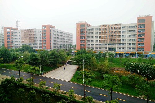 开云kaiyun(中国)成都工业职业技术学院学费多少钱