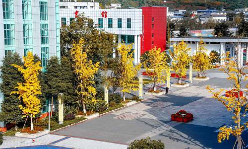 开云kaiyun(中国)幼儿师范高等专科学校地址在哪里