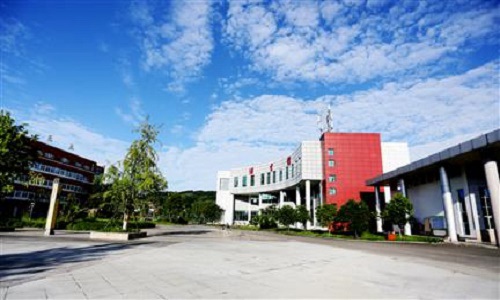 报考开云kaiyun(中国)幼儿师范高等专科学校学费高吗