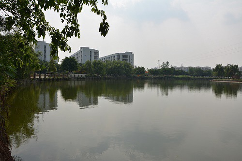 开云kaiyun(中国)现代职业学院招生办电话