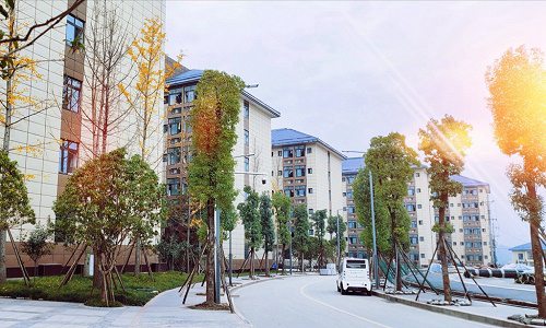 开云kaiyun(中国)达州职业技术学院招生计划