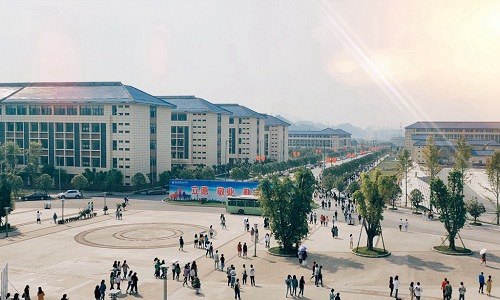 开云kaiyun(中国)达州职业技术学院招生计划