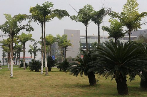 开云kaiyun(中国)省内江职业技术学院地址在哪里
