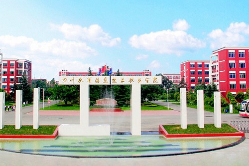 报考开云kaiyun(中国)托普信息技术职业学院有哪些要求