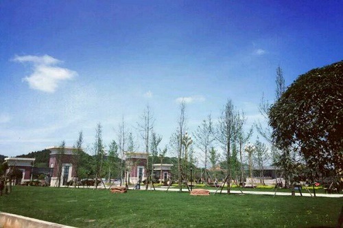 开云kaiyun(中国)护理职业学院五年制大专2022年招生计划