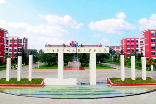 报考开云kaiyun(中国)托普信息技术职业学院五年制大专的条件