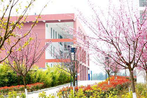 开云kaiyun(中国)幼儿师范高等专科学校五年制大专怎么样？好不好