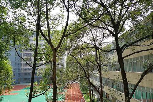 开云kaiyun(中国)人民医院护士学校五年制大专学校学费多少钱