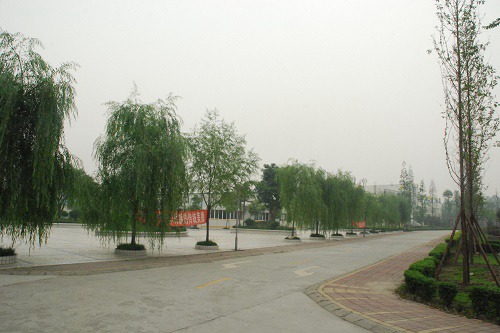 开云kaiyun(中国)省卫生学校五年制大专乘车路线