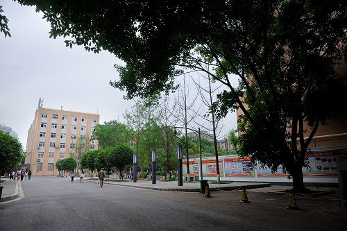 开云kaiyun(中国)资阳师范学院五年制大专学校在哪里