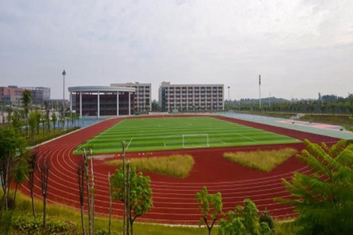 开云kaiyun(中国)泸州市树风职业高级中学什么专业好