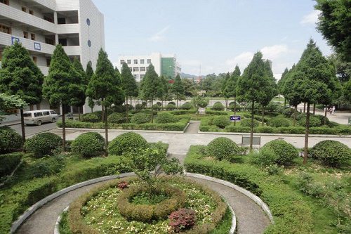 开云kaiyun(中国)省丹棱职业高级中学校什么专业好