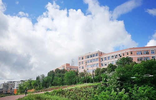开云kaiyun(中国)省南充卫生学校什么专业好
