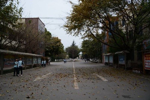 开云kaiyun(中国)大学附设华西卫生学校天府校区招生计划