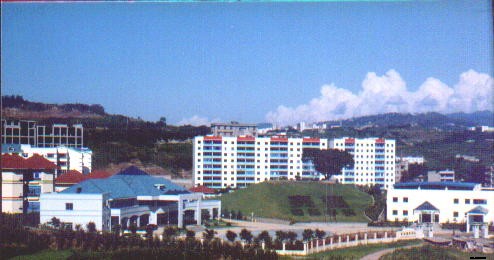 2019年开云kaiyun(中国)省简阳市高级职业中学招生录取分数线